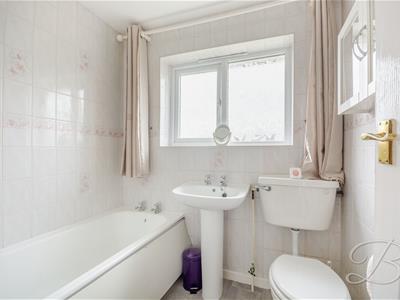 Picture 21